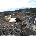 16_00-nest.jpg