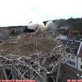 16_25-nest.jpg