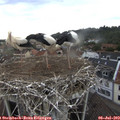 17_50-nest.jpg