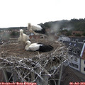 18_10-nest.jpg