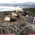 20_05-nest.jpg