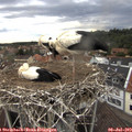 20_10-nest.jpg