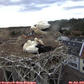 20_30-nest.jpg