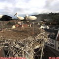 08_50-nest.jpg