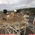 10_55-nest.jpg