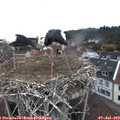 12_25-nest.jpg