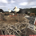 12_30-nest.jpg