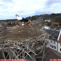 13_05-nest.jpg