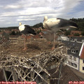 13_25-nest.jpg