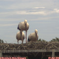 14_05-mast.jpg
