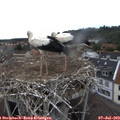 16_30-nest.jpg
