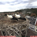 18_45-nest.jpg