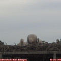 19_25-mast.jpg