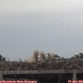 19_40-mast.jpg