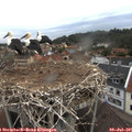 05_30-nest.jpg