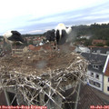 06_10-nest.jpg