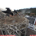 07_35-nest.jpg