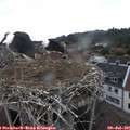 07_55-nest.jpg