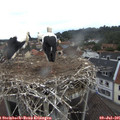 08_45-nest.jpg