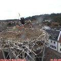 08_50-nest.jpg