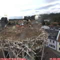 09_05-nest.jpg