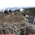 09_45-nest.jpg