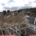 10_00-nest.jpg