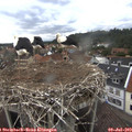 10_05-nest.jpg