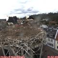 10_10-nest.jpg