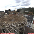 10_15-nest.jpg