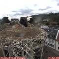 10_55-nest.jpg