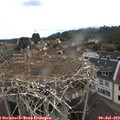 11_20-nest.jpg