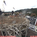 12_00-nest.jpg