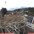 12_05-nest.jpg