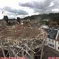 12_25-nest.jpg