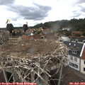 12_30-nest.jpg