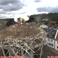 13_00-nest.jpg