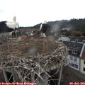 13_10-nest.jpg