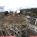13_25-nest.jpg