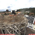 13_35-nest.jpg