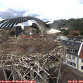 14_20-nest.jpg
