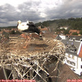 14_40-nest.jpg
