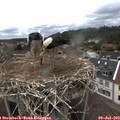 15_05-nest.jpg