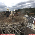15_15-nest.jpg