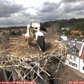 15_20-nest.jpg