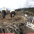 16_10-nest.jpg