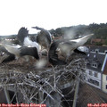 19_15-nest.jpg