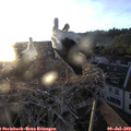 20_35-nest.jpg