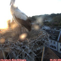 21_05-nest.jpg