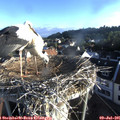 07_00-nest.jpg
